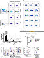 Amphiregulin Antibody in Flow Cytometry (Flow)