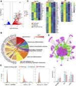 GPNMB Antibody in Flow Cytometry (Flow)