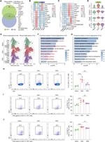 ID2 Antibody in Flow Cytometry (Flow)