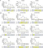 FOXP3 Antibody in Flow Cytometry (Flow)