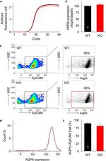 CD326 (EpCAM) Antibody in Flow Cytometry (Flow)