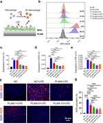 iNOS Antibody in Flow Cytometry (Flow)