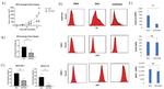 iNOS Antibody in Flow Cytometry (Flow)