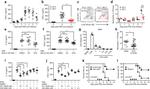 Ly-6C Antibody in Flow Cytometry (Flow)