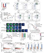 Ly-6C Antibody in Flow Cytometry (Flow)