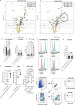 CD253 (TRAIL) Antibody in Inhibition Assays (IA)