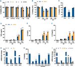 CD281 (TLR1) Antibody in Neutralization (Neu)