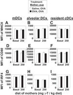 IRF4 Antibody in Flow Cytometry (Flow)