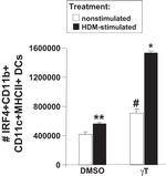 IRF4 Antibody in Flow Cytometry (Flow)