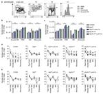 CD11c Antibody in Flow Cytometry (Flow)