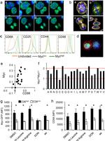 CD8a Antibody in Flow Cytometry (Flow)