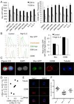 CD8a Antibody in Flow Cytometry (Flow)