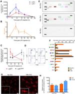 Ly-6C Antibody in Flow Cytometry (Flow)