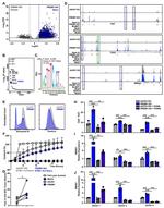 Granzyme B Antibody in Flow Cytometry (Flow)