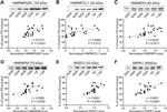 hnRNP M Antibody in Western Blot (WB)