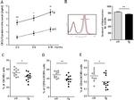 CD185 (CXCR5) Antibody in Flow Cytometry (Flow)