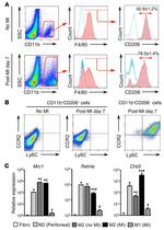 Ly-6C Antibody in Flow Cytometry (Flow)