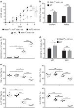 IL-10 Antibody in Flow Cytometry (Flow)