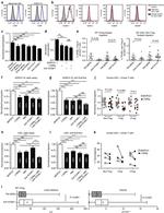 Lymphotoxin beta Receptor Antibody in Flow Cytometry (Flow)