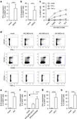 CD69 Antibody in Flow Cytometry (Flow)