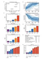 IRF4 Antibody in Flow Cytometry (Flow)