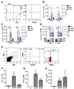 CD103 (Integrin alpha E) Antibody in Flow Cytometry (Flow)