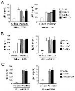 IL-9 Antibody in Neutralization (Neu)