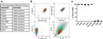 HLA-ABC Antibody in Flow Cytometry (Flow)