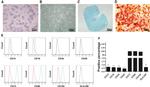 CD19 Antibody in Flow Cytometry (Flow)