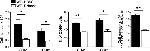 CD8a Antibody in Flow Cytometry (Flow)