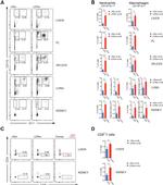 CD8a Antibody in Flow Cytometry (Flow)