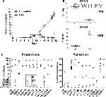 CD8a Antibody in Flow Cytometry (Flow)