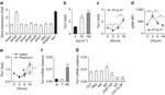 NK1.1 Antibody in Flow Cytometry (Flow)