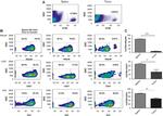 NK1.1 Antibody in Flow Cytometry (Flow)