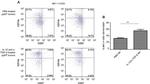 NK1.1 Antibody in Flow Cytometry (Flow)