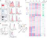 CD223 (LAG-3) Antibody in Flow Cytometry (Flow)