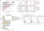 TIGIT Antibody in Flow Cytometry (Flow)