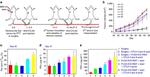 CD8a Antibody in Flow Cytometry (Flow)