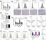 CD279 (PD-1) Antibody in Flow Cytometry (Flow)