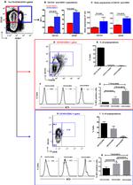 CD90.1 (Thy-1.1) Antibody in Flow Cytometry (Flow)