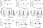 CD62L (L-Selectin) Antibody in Flow Cytometry (Flow)