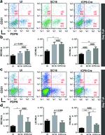 Podoplanin Antibody in Flow Cytometry (Flow)