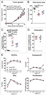 Granzyme B Antibody in Flow Cytometry (Flow)