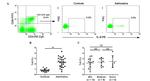 CD8a Antibody in Flow Cytometry (Flow)