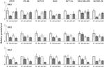 HK2 Antibody