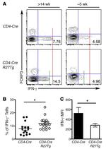 CD4 Antibody in Flow Cytometry (Flow)