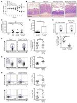 CD62L (L-Selectin) Antibody in Flow Cytometry (Flow)