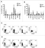 KLRG1 Antibody in Flow Cytometry (Flow)