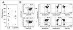 CD244 Antibody in Flow Cytometry (Flow)