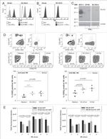 CD85j (ILT2) Antibody in Flow Cytometry (Flow)